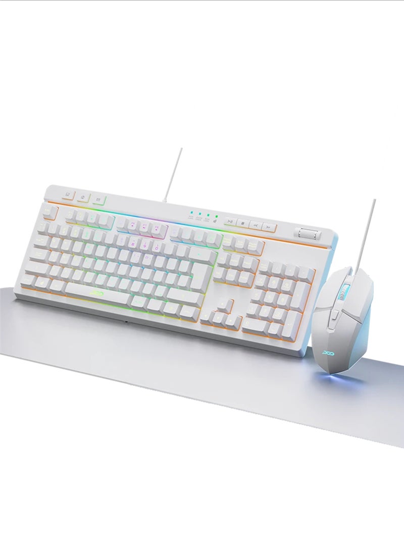 Arab Gamers All In One Bundle White Gaming PC- Intel Core i5-12400F Processor | NVIDIA RTX 4060 8GB GPU | 16GB DDR4 RAM | 1TB NVMe SSD |24" FHD Monitor | Keyboard &Mouse Set | Built- In WiFi | Windows 11 Pro |  RGB Gaming Case White - Image 3